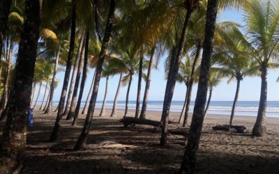 Puntarenas entre Quepos y Dominical